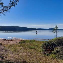 Spazieren im See