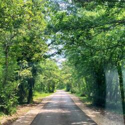 Nebestraass..🌴🌳🌲🚐🌲🌳🌴