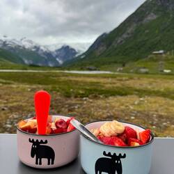 Obstsalat mit super leckeren Erdbeeren 🍓❤️