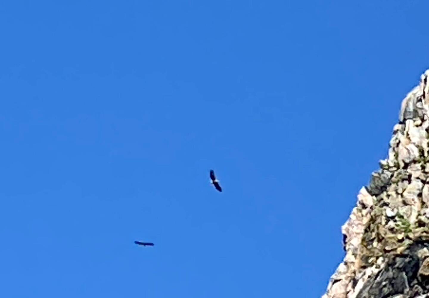 Die Adler kann man nur ahnen
