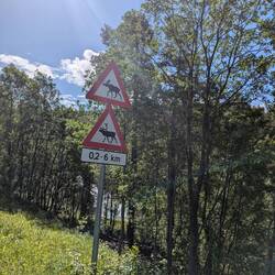 Oh, hier gibt's beides
