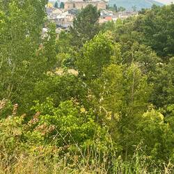 As we approached Villafranca