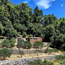 More scenery as we drive by