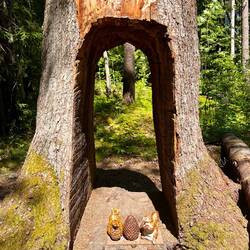 😄😍😄 auf dem Wanderweg entdeckt