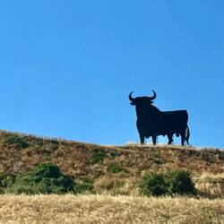 The bull continues to be the only advertising structure allowed on Spanish roads (for alcohol).