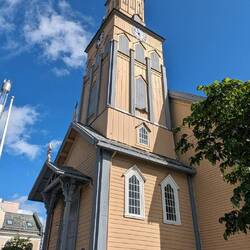 Der Dom - auch mit Möwennestern