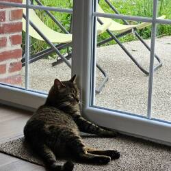 Schoum nous tient compagnie en attendant de retrouver Pixelle