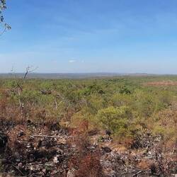 Ausblick übers Central Valley