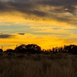 Uluru ...sunset across the road @ 6:16p — Uluru-Kata Tjuta NP, NT.