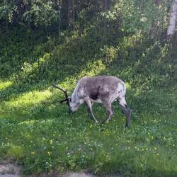 immer wieder sweet. 😍