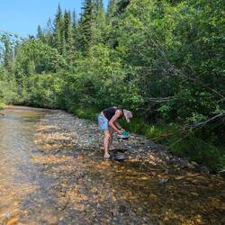 Professionelle Goldsucher