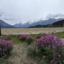 Kluane National Park