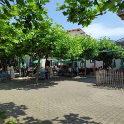 Biergarten unter Bäumen