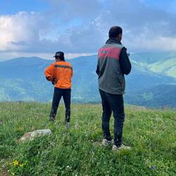 Searching for cows