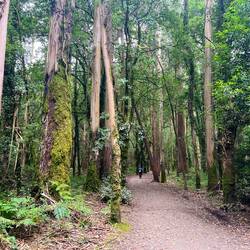 The canopy provides nice shade