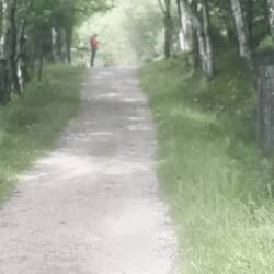 Strong Celtic influence in Galicia and we were Greeted by a bagpipe as we crested in O Cebreiro