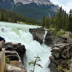 Athabasca Fall