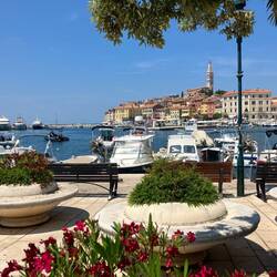 Mittagessen mit Blick über die Marina