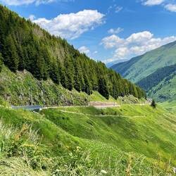 Durch dieses Wägli haben wir uns raufgekämpft