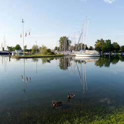 Schwül warm ist's auch am Bodensee
