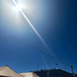 Mövenschutz über dem Marktplatz