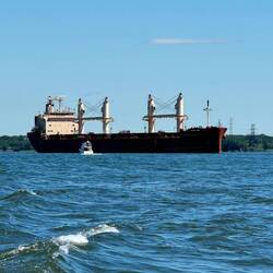 Lots of freighters coming into Montreal