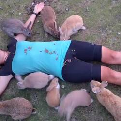 Für manche mag es ekelig sein, für mich ist es ein Traum 🤣