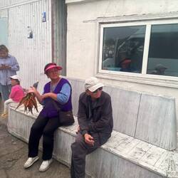 Fisch als Zwischenverpflefung im Bus