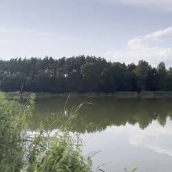 Der schöne Teich