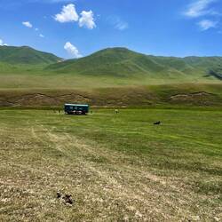 Abstand halten, Lage analysieren und Hund beobachten 👀