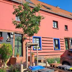 Rankhilfen in verschiedenen Ausführungen. Sollen jedoch möglichst nicht berankt werden