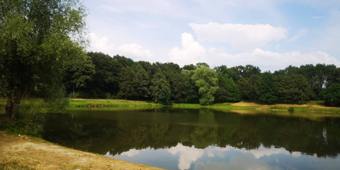 Am See