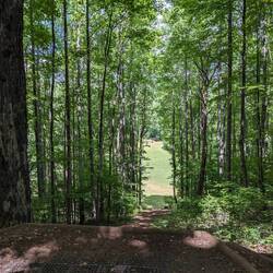 disc golf view