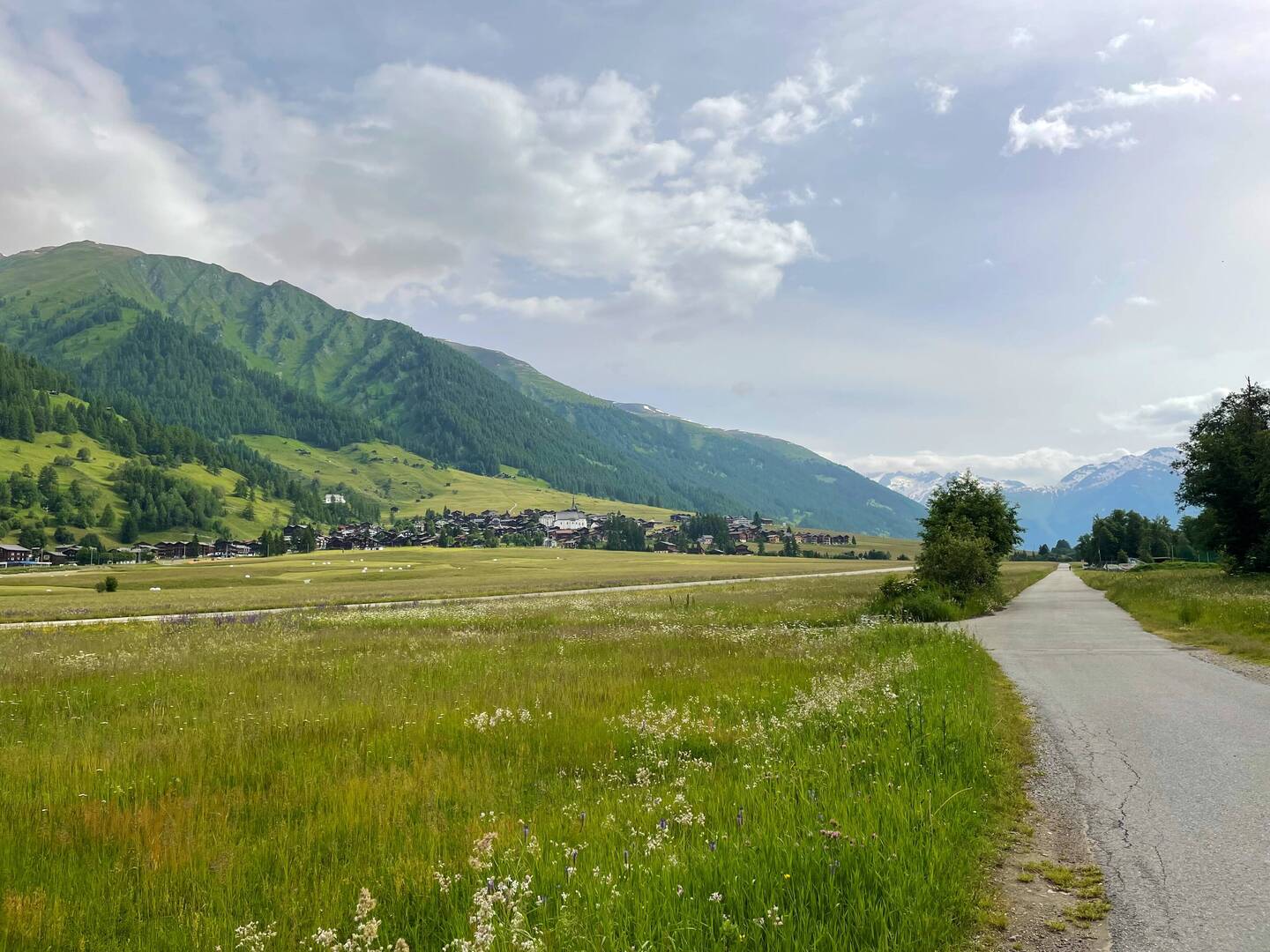 Goms mit Blick auf Münster