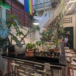 But at a cute cafe