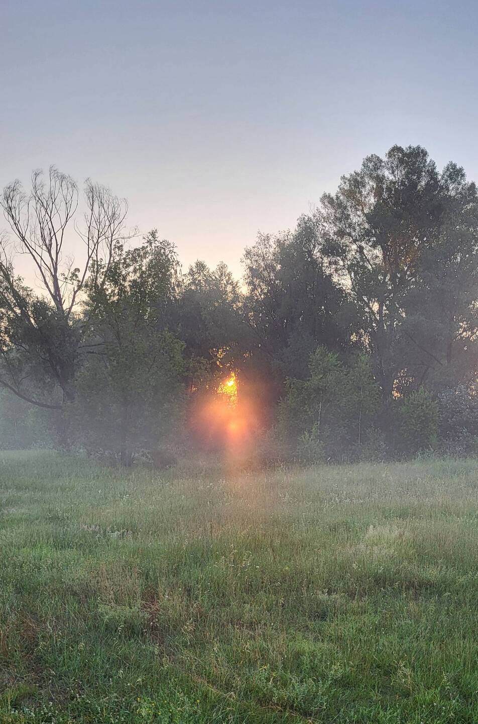 Sonnenaufgang im Nebel