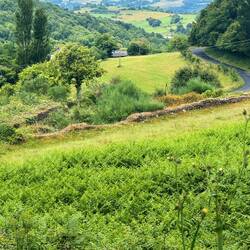 The hills of Galicia are always so pretty and green due to the large amount of rain it gets