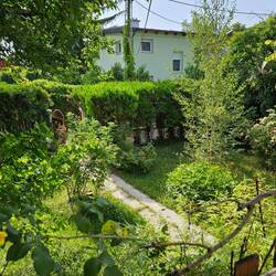Der Garten ist ein bisschen verwunschen.