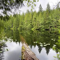 Lake 4 - Stump Lake