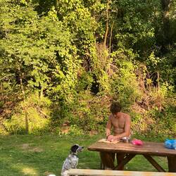 Max bereit Mikosch sein Essen zu 🐶😅