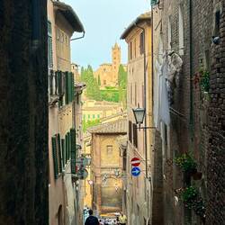 This hill is very steep! I was glad it was dry.