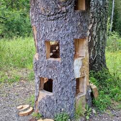 Puppenhaus im Wald