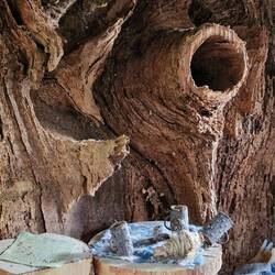 Liebevoll eingerichtet