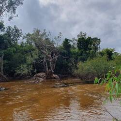 Pascoe River
