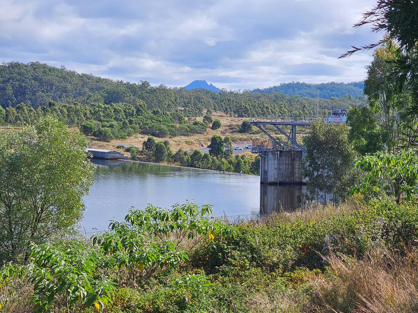 Wyalong Dam