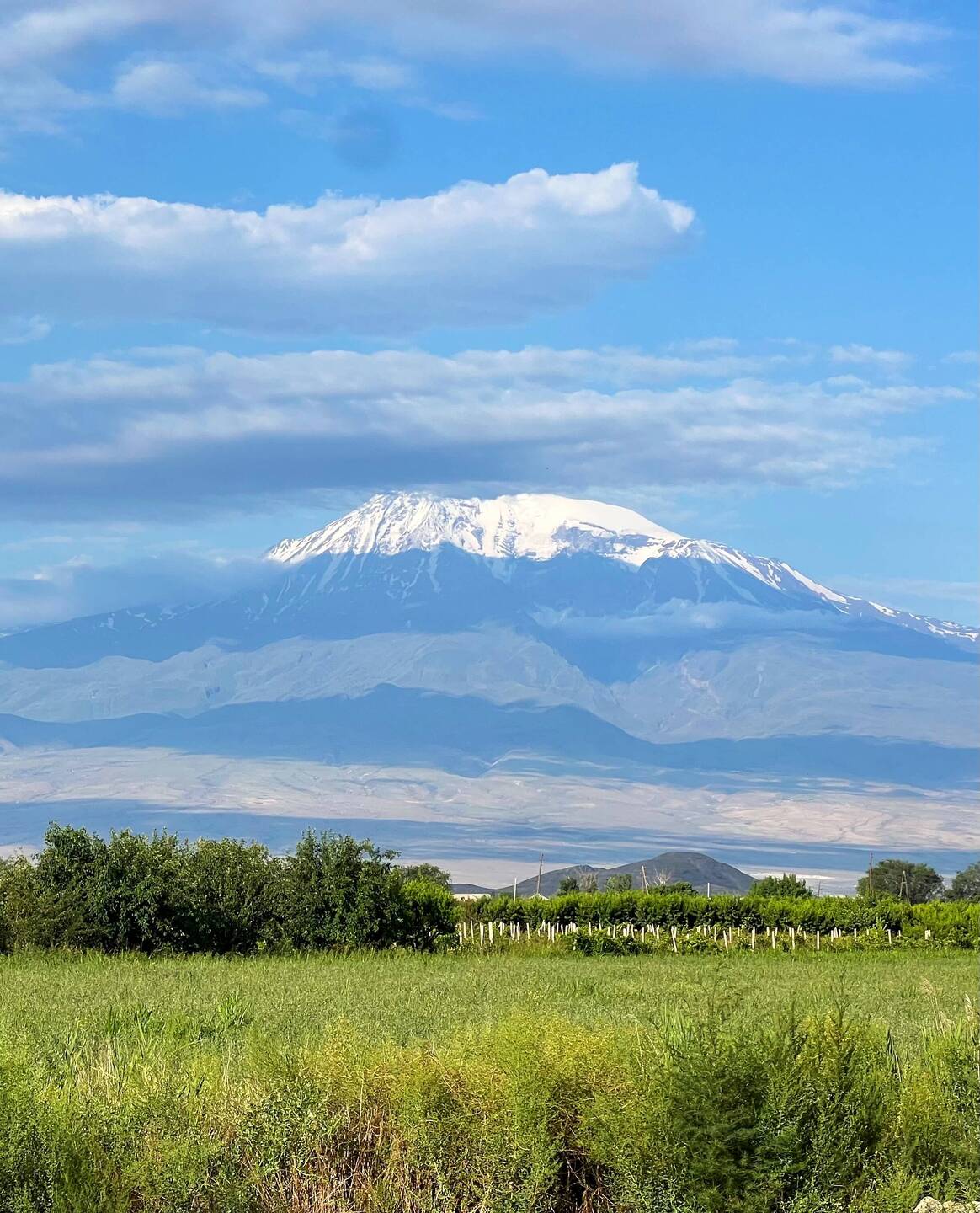 Mount Ararat is a little shy first thing