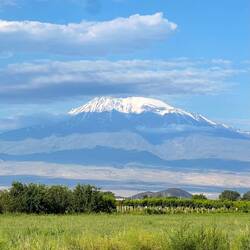 Mount Ararat is a little shy first thing