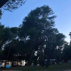 Aabigstimmig ufem Campingplatz