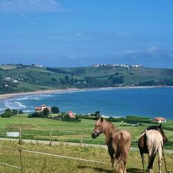 Beautiful coastline today
