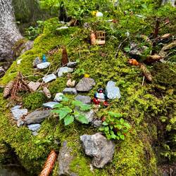 We stumbled upon the cutest fairy garden in the middle of the woods